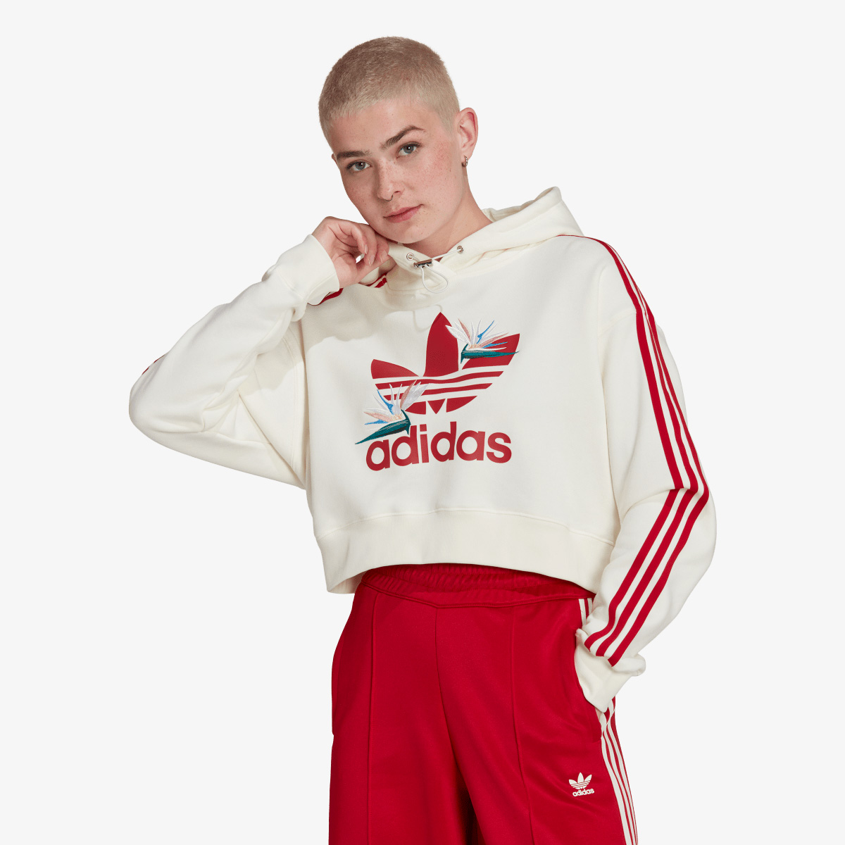 <center><b>TOPS</center></b>