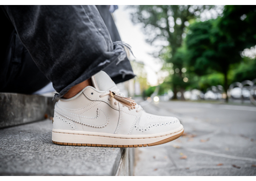 JEDAN GRAD. JEDAN PAR. JORDAN 1 LOW.