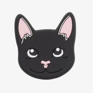 Crocs Ukras CROCS JIBBITZ / BLACK CAT 