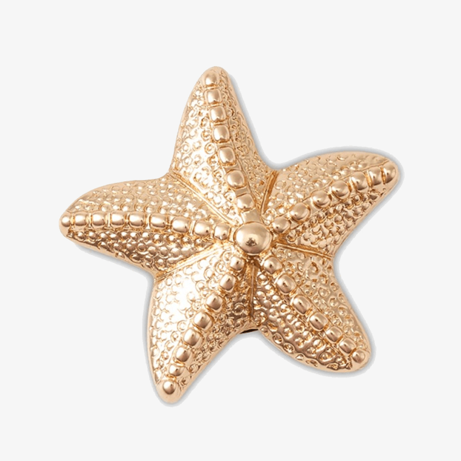 Crocs Ukras CROCS JIBBITZ / GOLD STAR FISH 