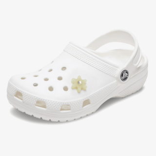 Proizvodi CROCS JIBBITZ / TAN FLOWER WITH GEM 