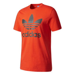 adidas Majica ODJECA-MAJICA-ORIG TREFOIL T 