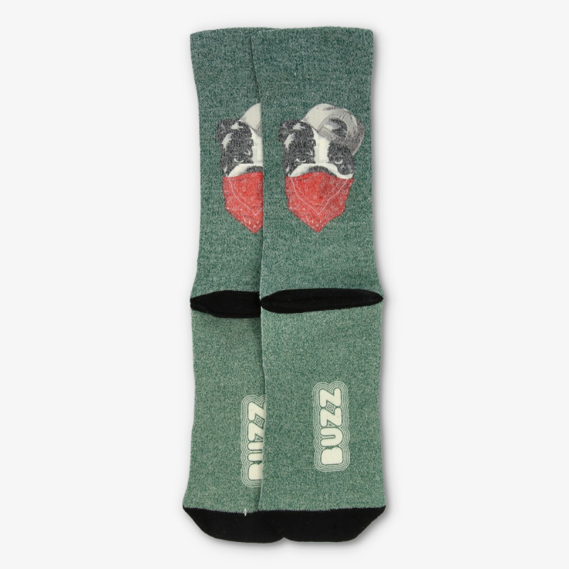 Buzz Čarape BULLDOG SOCKS-PAK 