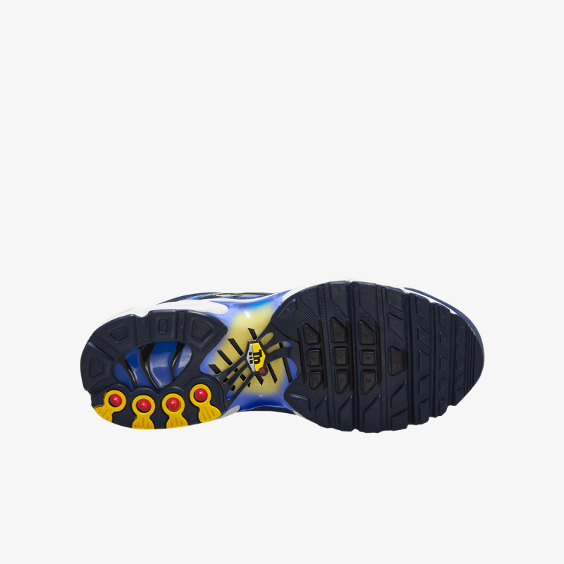 Nike Patike NIKE AIR MAX PLUS (GS) 