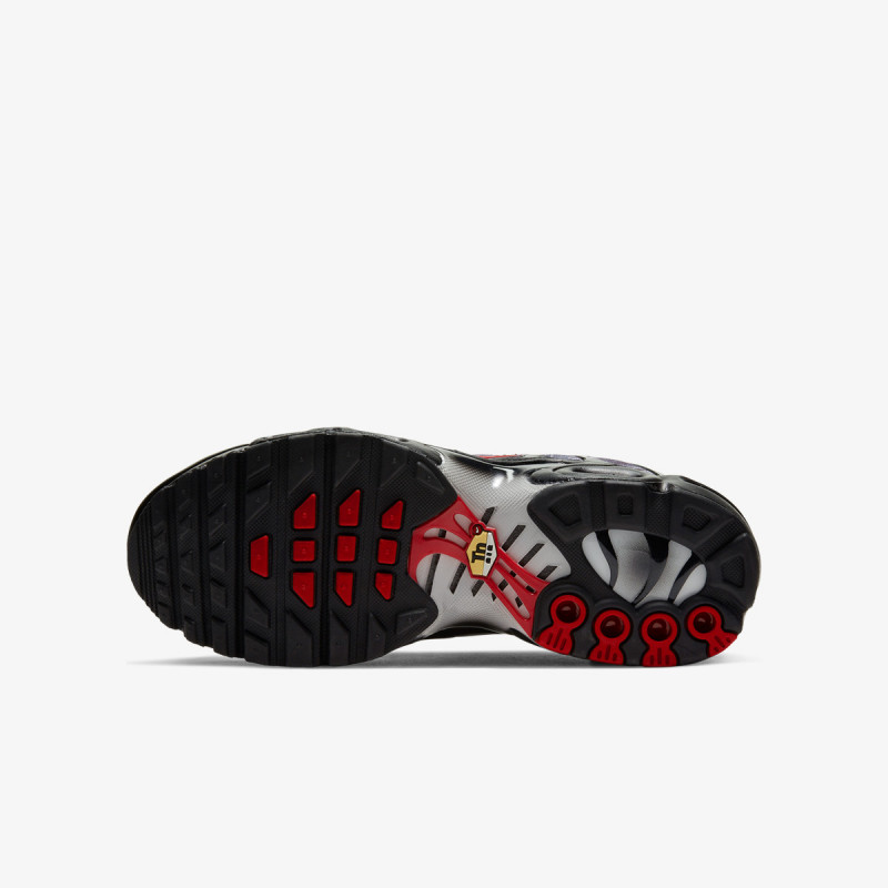Nike Patike NIKE AIR MAX PLUS GS 