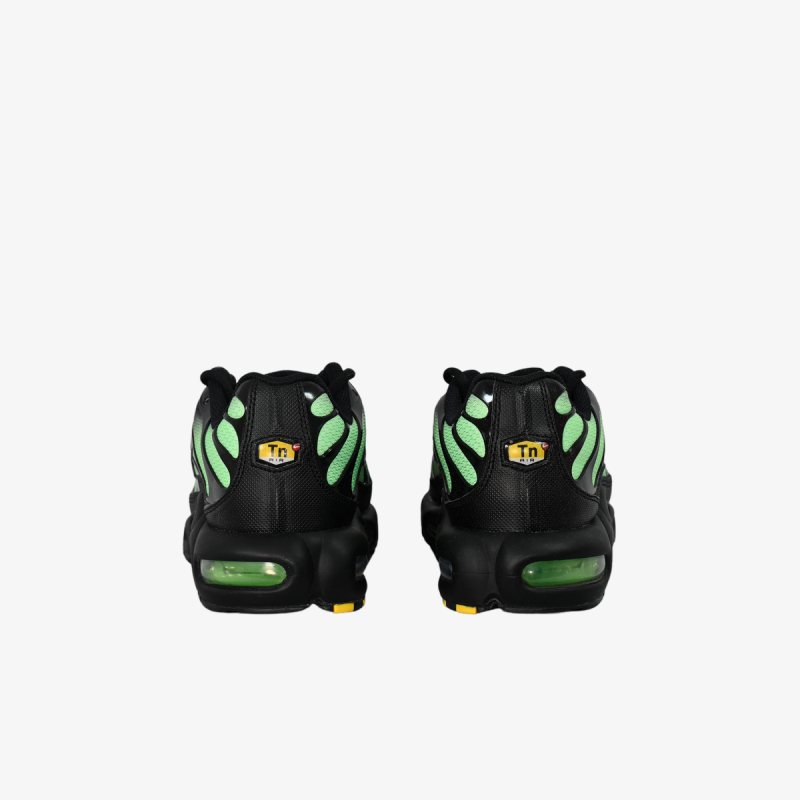 Nike Proizvodi NIKE AIR MAX PLUS 