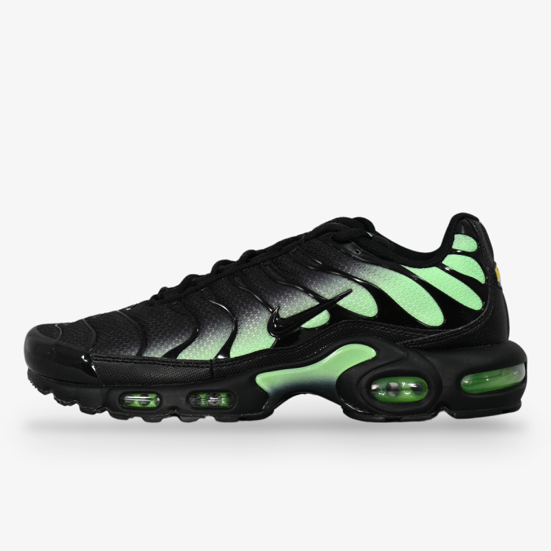 Nike Proizvodi NIKE AIR MAX PLUS 