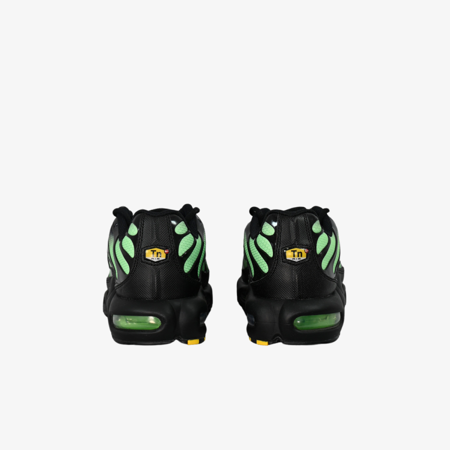 Nike Proizvodi NIKE AIR MAX PLUS 