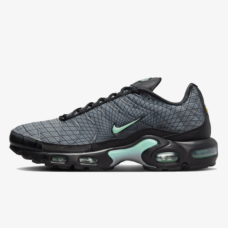 Air max top plus buzz