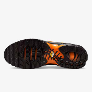 Nike Patike NIKE AIR MAX PLUS GG 