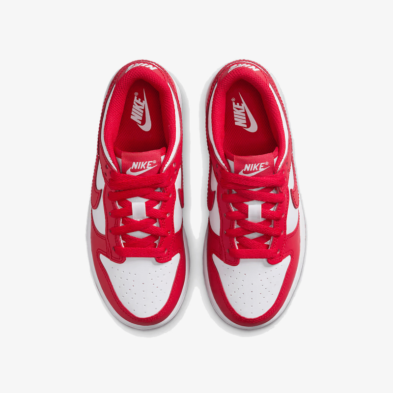 Nike Proizvodi NIKE DUNK LOW (PSE) 