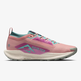 Nike Proizvodi Pegasus Trail 5 Gore-tex 