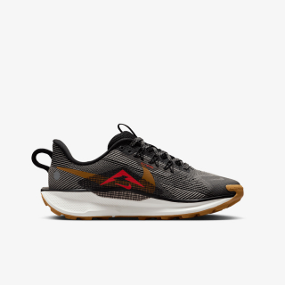 Proizvodi NIKE PEGASUS TRAIL 5 (GS) 