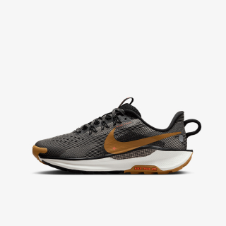 Proizvodi NIKE PEGASUS TRAIL 5 (GS) 