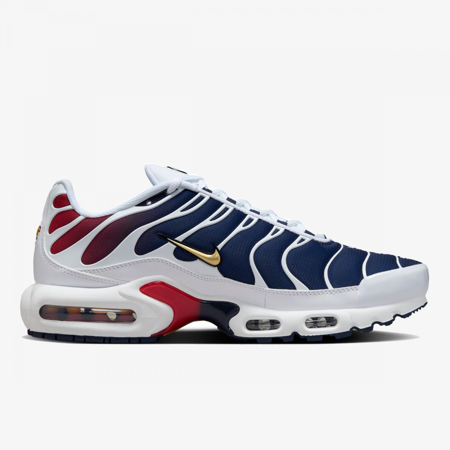 Proizvodi Air Max Plus PSG 