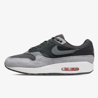 Nike Patike NIKE AIR MAX 1 PRM NDE 