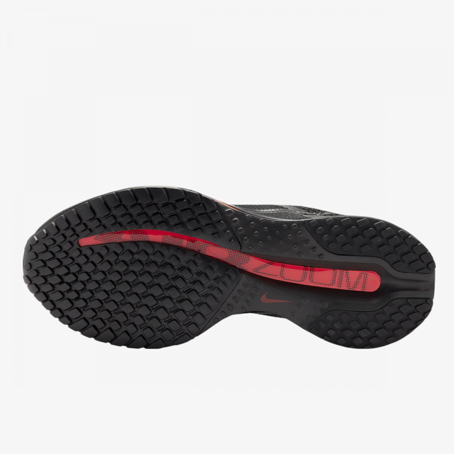 Nike Patike NIKE PEGASUS PREMIUM 