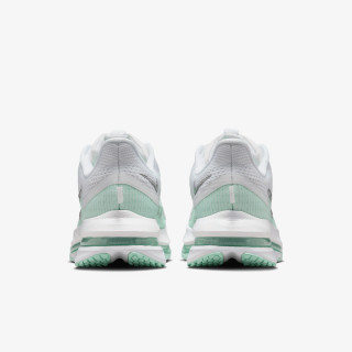 Proizvodi W NIKE PEGASUS PREMIUM 