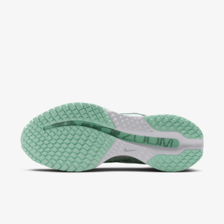 Proizvodi W NIKE PEGASUS PREMIUM 