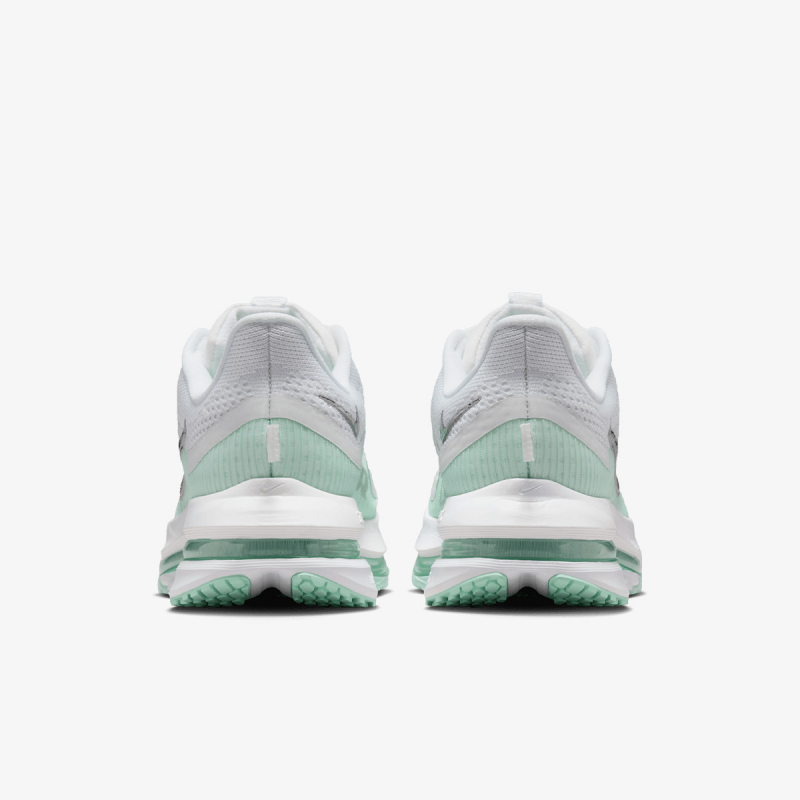 Proizvodi W NIKE PEGASUS PREMIUM 