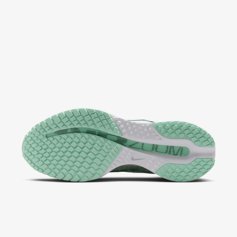 Proizvodi W NIKE PEGASUS PREMIUM 