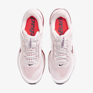 Proizvodi Pegasus Premium 