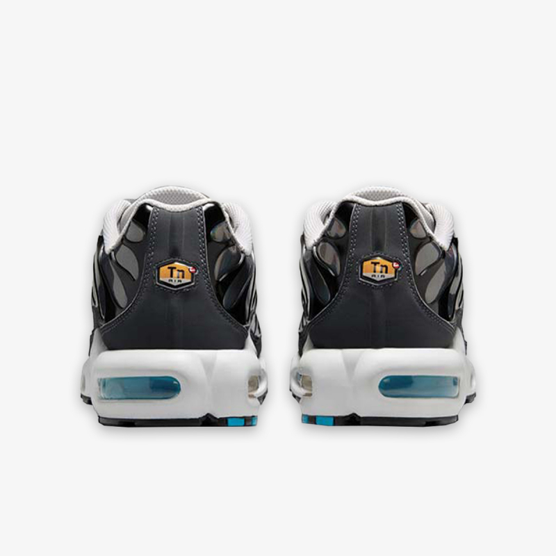 Nike Proizvodi NIKE AIR MAX PLUS 