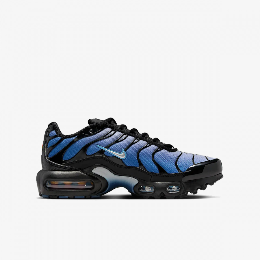 Nike Patike NIKE AIR MAX PLUS GS MBRS 