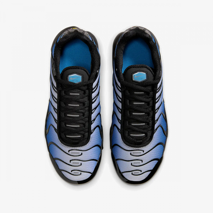 Nike Patike NIKE AIR MAX PLUS GS MBRS 