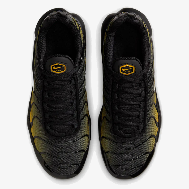Nike Patike NIKE AIR MAX PLUS GS GTD 