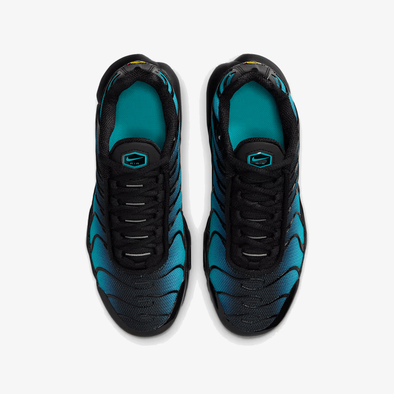 Nike Patike NIKE AIR MAX PLUS GS ITD 