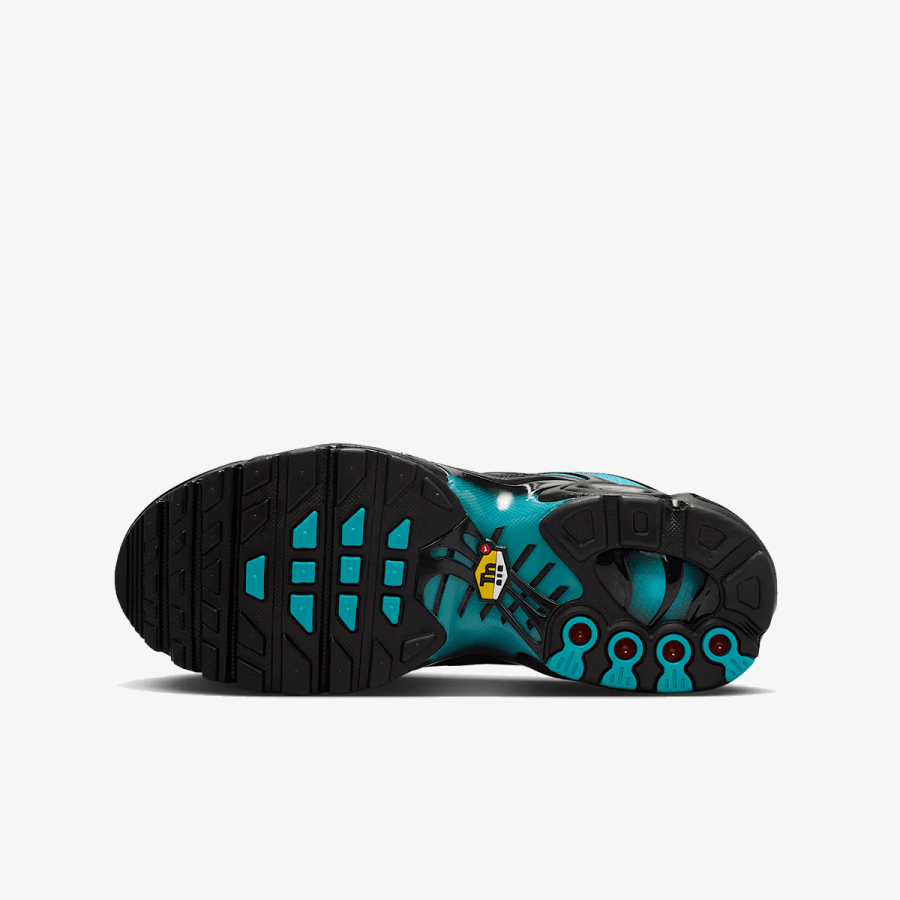 Nike Patike NIKE AIR MAX PLUS GS ITD 