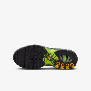 Nike Patike NIKE AIR MAX PLUS GS MTDH 