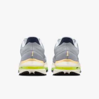 Nike Patike NIKE PEGASUS PREMIUM HR 