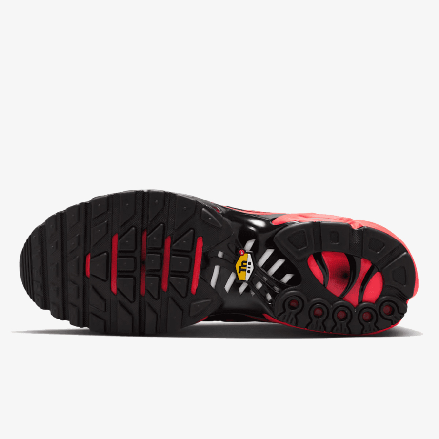 Nike Patike NIKE AIR MAX PLUS 