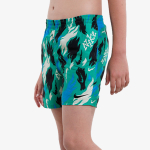 Nike Šorc 4 VOLLEY SHORT 